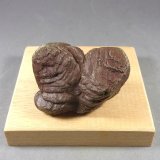 Pirita
5,2 x 4,2 x 3,8 cm.  176,3 gramos.
(Autor: J. G. Alcolea)