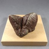 Pirita
5,2 x 4,2 x 3,8 cm.  176,3 gramos.
(Autor: J. G. Alcolea)