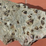 Goethita pseudo Pirita
15 x 10 cm
(Autor: prudenci gatell)