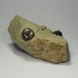 Pirita
5 x 3 x 2 cm
(Autor: Antonio Alcaide)