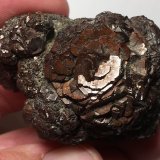Pirita
Ricote, Comarca Valle de Ricote, Región de Murcia (Murcia), España
5 x 4 cm
(Autor: Matias Raja)