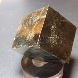 Pirita
55x60 mm
(Autor: Ignacio)