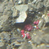 Cinabrio sobre Pirita
Encuadre de 1 cm.
(Autor: Darío Menéndez)