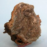 Pirita
6,5 x 6 cm
(Autor: Pedro Conesa)