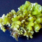 Piromorfita
Mina Daoping, Gongcheng, Prefectura Guilin, Región Autónoma Guangxi Zhuang, China
5 x 3 cm.
(Autor: javier ruiz martin)