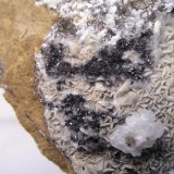 Pirolusita, Calcita.
Campo de visión de 3 x 3 cm.
(Autor: Adrian Pesudo)