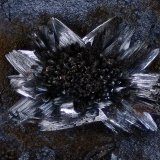 Pirolusita
Campo de visión 2 mm
(Autor: Juan Miguel)