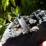 Pirolusita
12 x 6 cm (la pieza)
(Autor: nerofis2)
