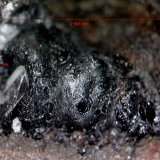 Pirolusita.
2´563 x 1´564 mm.
(Autor: Jesus Franquesa Baucells)