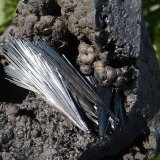 Pirolusita
12 x 6 cm (la pieza)
(Autor: nerofis2)