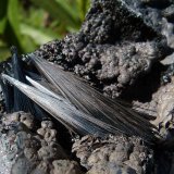 Pirolusita
12 x 6 cm (la pieza)
(Autor: nerofis2)