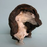 Pirolusita
9 x 7 cm
(Autor: Pedro Conesa)