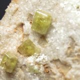 Piromorfita
Tamaño pieza de 2 x 2 cm. Cristales de 2 mm.
(Autor: Adrian Pesudo)