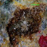 Piromorfita
1´771 x 1´701 mm.
(Autor: Jesus Franquesa Baucells)