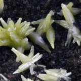 Piromorfita
Campo de visión 4 mm.
(Autor: Juan Miguel)