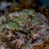 Piromorfita.
5´294 x 3´902 mm.
(Autor: Jesus Franquesa Baucells)