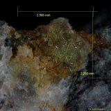 Piromorfita.
2´566x2´282 mm.
(Autor: Jesus Franquesa Baucells)