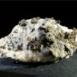 Plata
4,5 x 3 x 2 cm
(Autor: Javier Rodriguez)