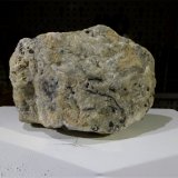 Plata
4,5 x 3 x 2 cm
(Autor: Javier Rodriguez)