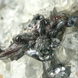 Plata
FOV 1 cm
(Autor: Cesar M. Salvan)
