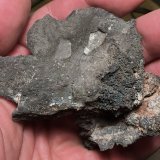 Plata
Corta Santa Matilde, grupo minero Berja, Las Herrerías, Sierra Almagrera, Cuevas del Almanzora, Comarca Levante Almeriense, Almería, Andalucía, España
9 x 6 cm
(Autor: Matias Raja)