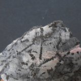 Plata
9,5 x 4,5 x 1 cm
(Autor: Antonio Alcaide)