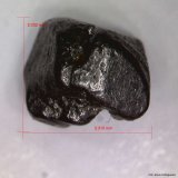 Platino
2´310 x 2´032 mm.
(Autor: Jesus Franquesa Baucells)