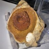 Calcita
4x3 cm.
(Autor: Adri Rodríguez)