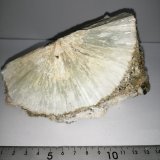 Prehnita
120x70mm
(Autor: Alfonso´s)
