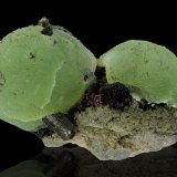 Prehnita con Epidota
6.5 x 10 x 5.5 cm
(Autor: Museo MIM)