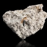 Pseudobrookita con Topacio
8 x 6 x 4 cm / cristal principal: 1.4 cm
(Autor: Museo MIM)