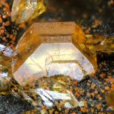 Pseudolaueita
fov 1.2 mm
(Autor: Jordi Fabre)