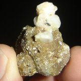 Pseudoleucita con Moscovita y Oligoclasa
3 x 3 x 3,6 cm
(Autor: Anisio Claudio)