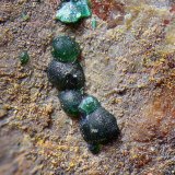 Pseudomalaquita.
Campo de visión de 5 mm.
(Autor: Antonio Carmona)