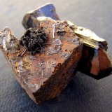 Goethita pseudo Siderita, Hematites, Chorlo
3,5cm x 3cm
(Autor: canada)