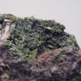 Pumpellyita.
Grupo de cristales tapizando 3 cm. de la pieza.
(Autor: Adrian Pesudo)