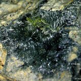 'Pumpellyita'
2´845 x 2´116 mm.
(Autor: Jesus Franquesa Baucells)