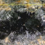 'Pumpellyita' y Cuarzo.
3´610 x 2´323 mm.
(Autor: Jesus Franquesa Baucells)