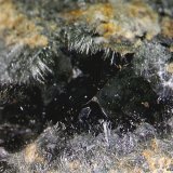 'Pumpellyita' y Cuarzo.
3´3610 x 2´323 mm.
(Autor: Jesus Franquesa Baucells)