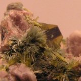 Clinozoisita
Cristales de 5 mm.
(Autor: Adrian Pesudo)