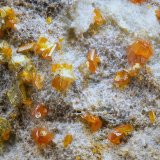 Calderonita y descloizita.
Campo de visión de 1 mm.
(Autor: Antonio Carmona)