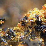Calderonita
Campo de visión de 2 mm.
(Autor: Antonio Carmona)