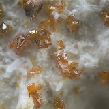 Calderonita y descloizita.
Campo de visión de 1 mm.
(Autor: Antonio Carmona)