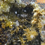 Vanadinita y Descloizita
Campo de visión de 5 mm.
(Autor: Antonio Carmona)