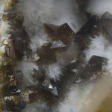 Descloizita
Campo de visión de  2 mm.
(Autor: Antonio Carmona)