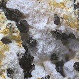 Descloizita
Campo de visión de  4 mm.
(Autor: Antonio Carmona)