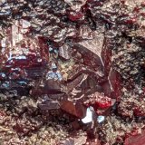 Cinabrio
Cristales hasta 1cm
(Autor: Raul Vancouver)