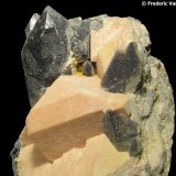 Cuarzo (variedad ahumado), Microclina, Albita
Encuadre 4 x 4 cm.
(Autor: Frederic Varela)