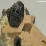 Cuarzo (variedad ahumado), Microclina, Albita
Encuadre 5 x 5 cm.
(Autor: Frederic Varela)
