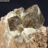 Cuarzo
Cristal mayor 1 x 1,2 cm.
(Autor: Frederic Varela)